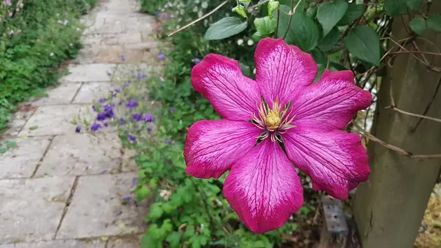 Letterkenny Butterfly Garden