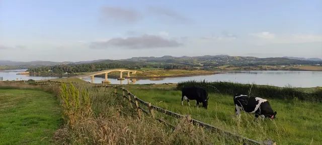 Roy Island view point