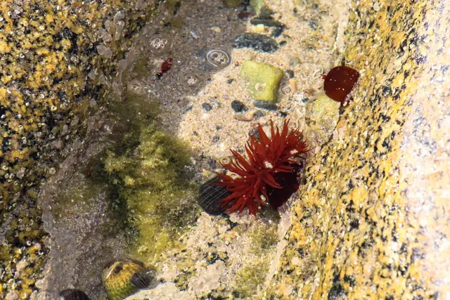 Port Na Ling Beach, Fanad