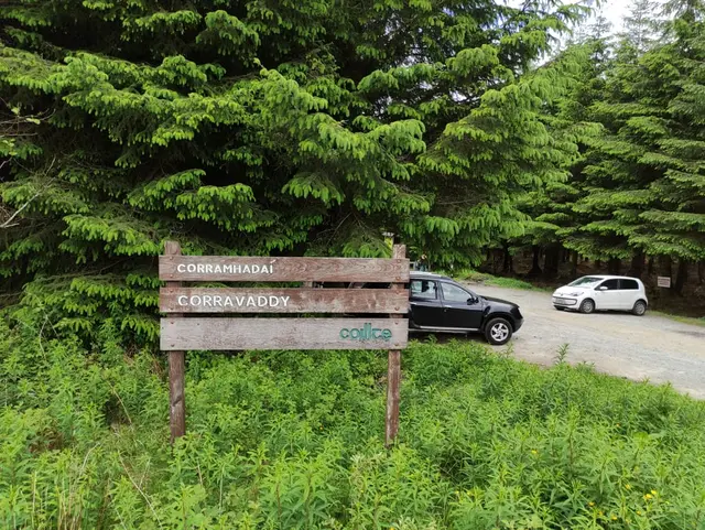 Corravaddy Wood