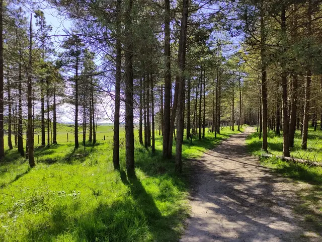 Lurgabrack Nature Reserve, Dunfanaghy