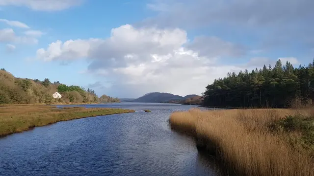 Woodquarter Forest Walks