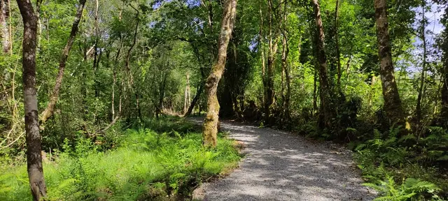 Ardnamona Woods