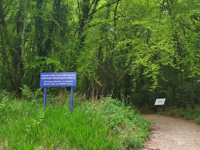 Rathmullan Wood Nature Reserve