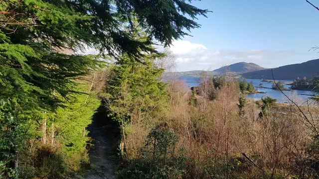 Woodquarter Forest Walks