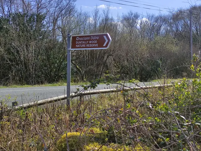 Duntally wood, Creeslough