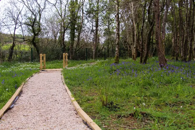 Ray Community Playground