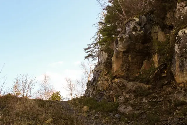 Woodquarter Forest Walks