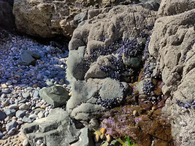 Tramore Beach, Dunfanaghy