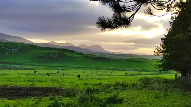 Lurgabrack Nature Reserve, Dunfanaghy