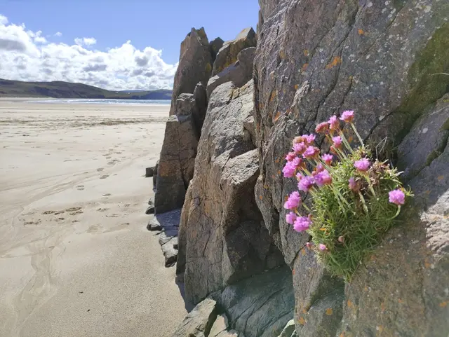Tramore Beach, Dunfanaghy