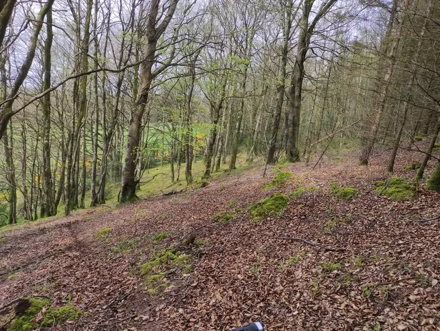 A trip guide to the Steeple Mullaghagarry Tower