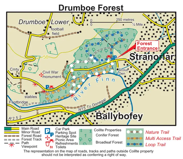 Drumboe woods