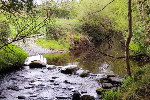 Ray Community Playground
