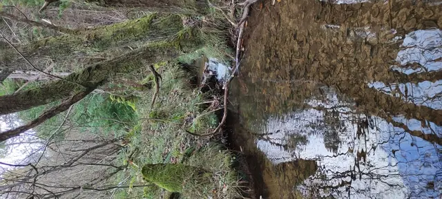 Lurgabrack Nature Reserve, Dunfanaghy