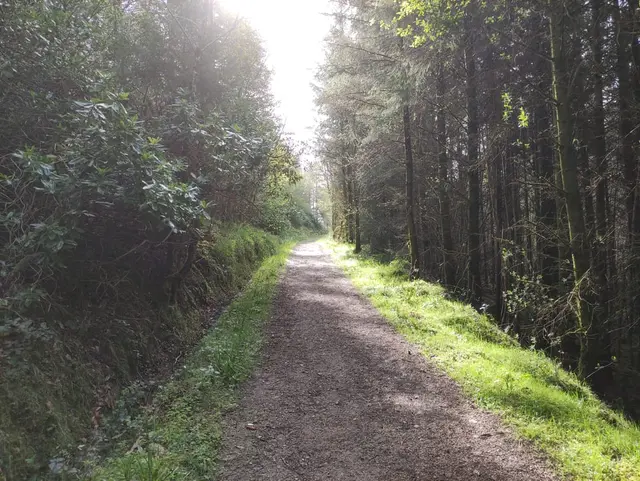 A trip guide to the Steeple Mullaghagarry Tower