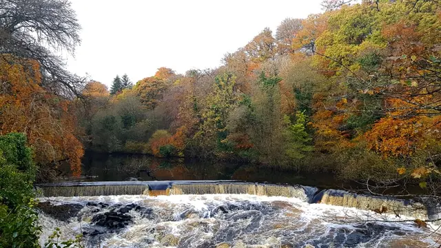 Lennon River Waterfall