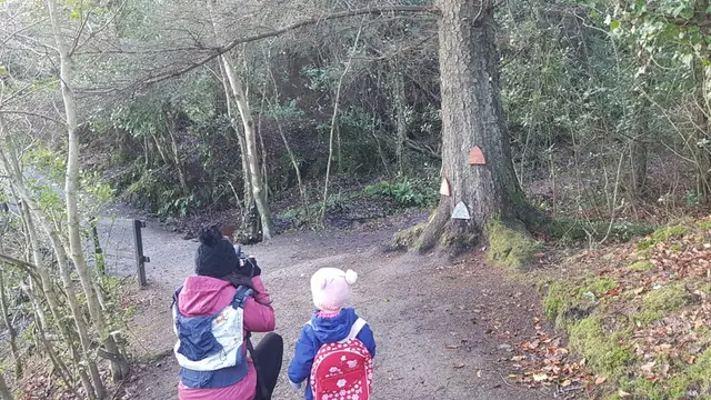 Woodquarter Forest Walks