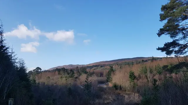 Woodquarter Forest Walks