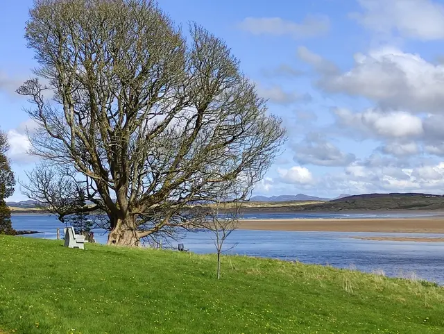 Ards Firary