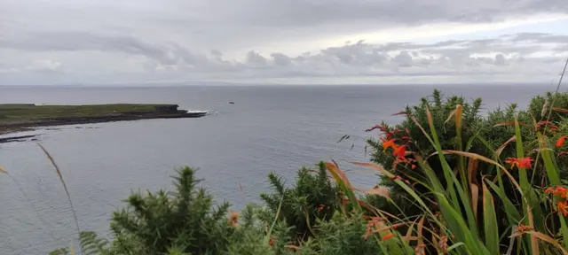 a body of water with plants and land in the back