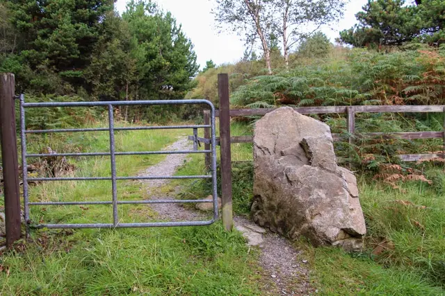 a rock in a fenced in area with trees in the background