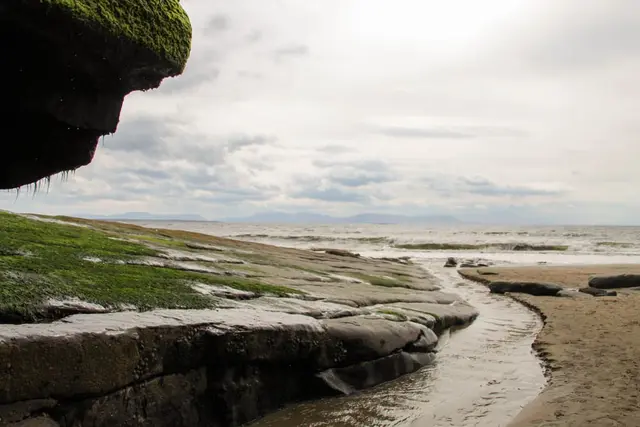 a rocky beach with grass and water