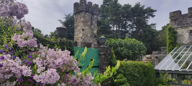 a garden with purple flowers and a stone tower in the background