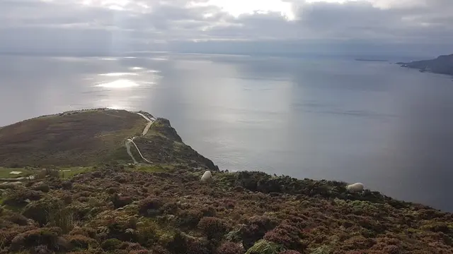 a grassy hill overlooking a body of water