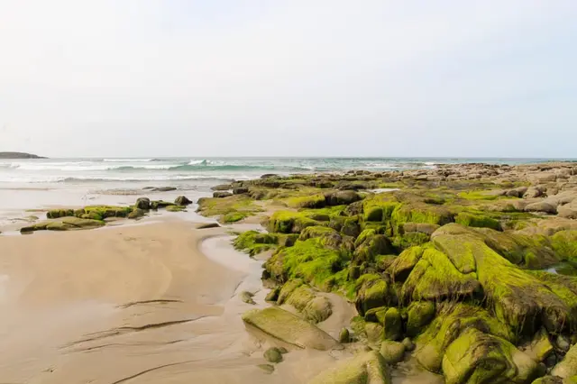 Ballyhiernan Bay