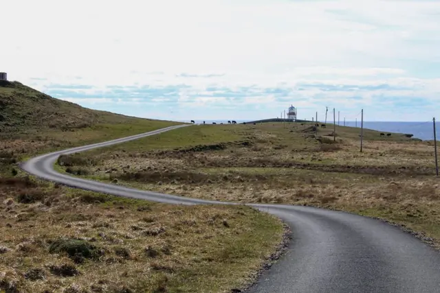 a road with grass and a tower in the distance