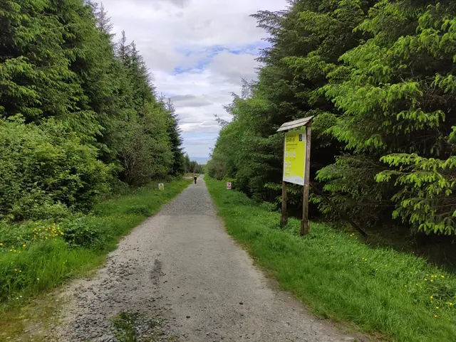 Corravaddy Wood