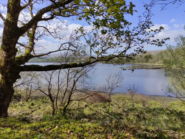 Gartan Lough walk