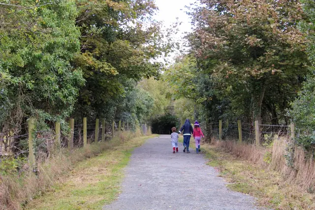 Ballyaar wood