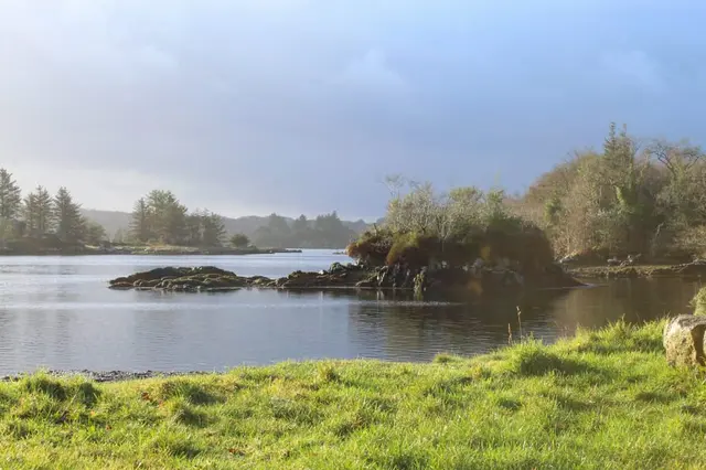 a body of water with trees and grass around it