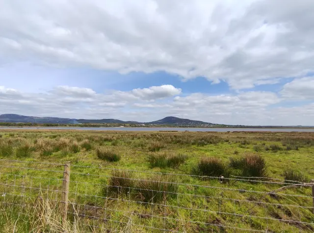 Inch Island