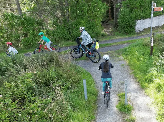 a group of people riding bikes on a path in the woods