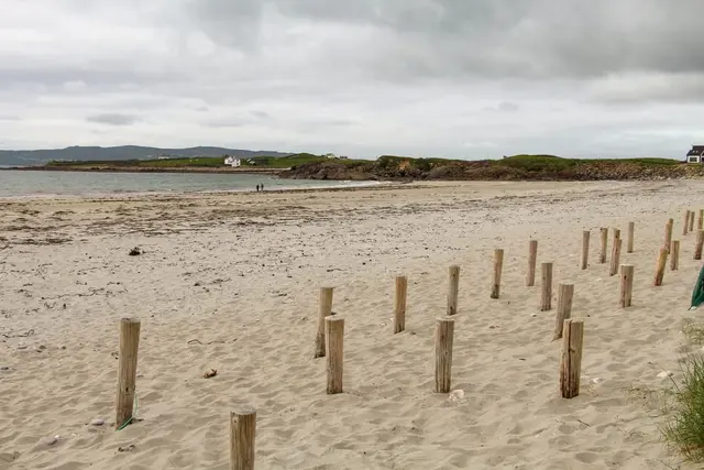 a beach with a fence