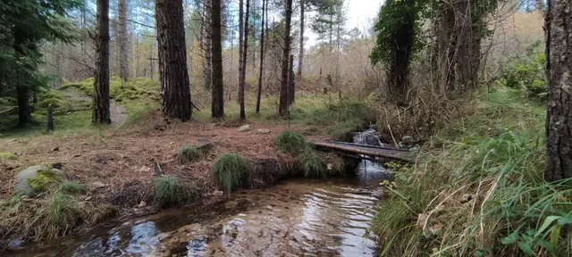 Lurgabrack Nature Reserve