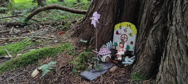 a tree with a sign on it