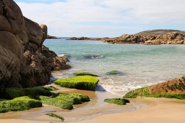 a beach with rocks and a body of water