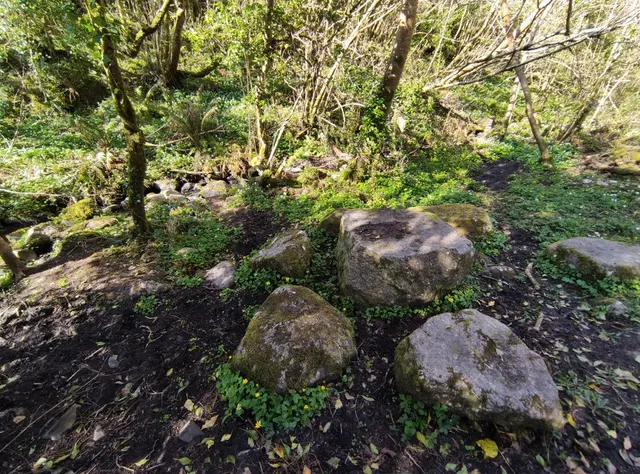 Duntally wood