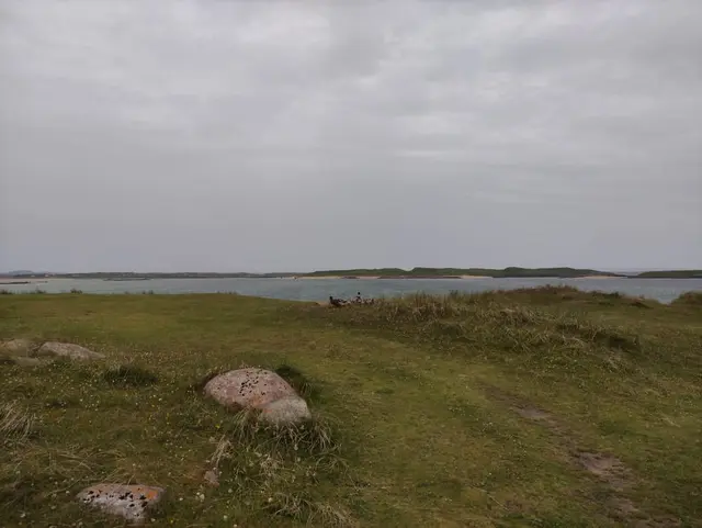 a grassy area with gooses, and water in the background