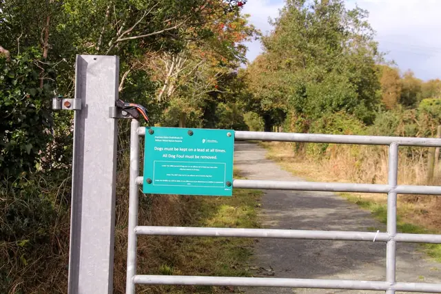Ballyaar wood