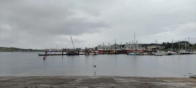 a group of boats in a harbor