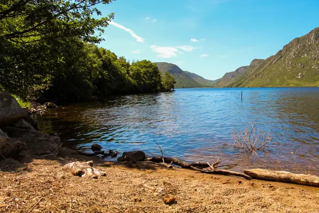 a body of water with trees and rocks around it