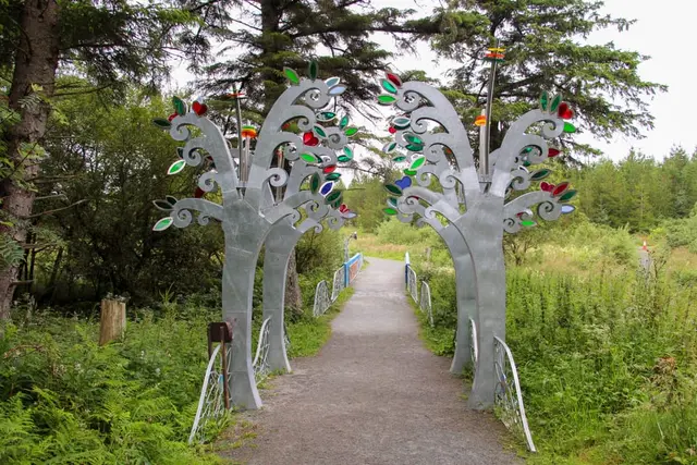 a path with trees and plants on the side