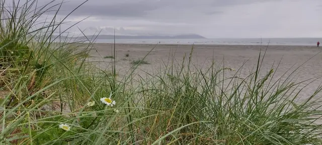 Dooey beach