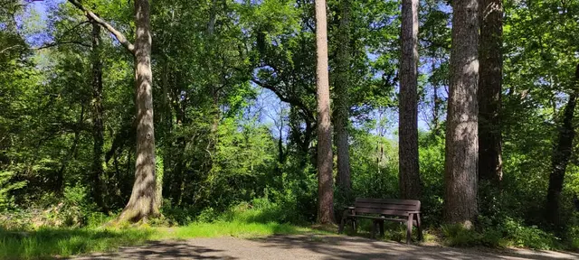 Ardnamona Woods