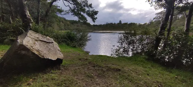 a lake surrounded by trees and grass